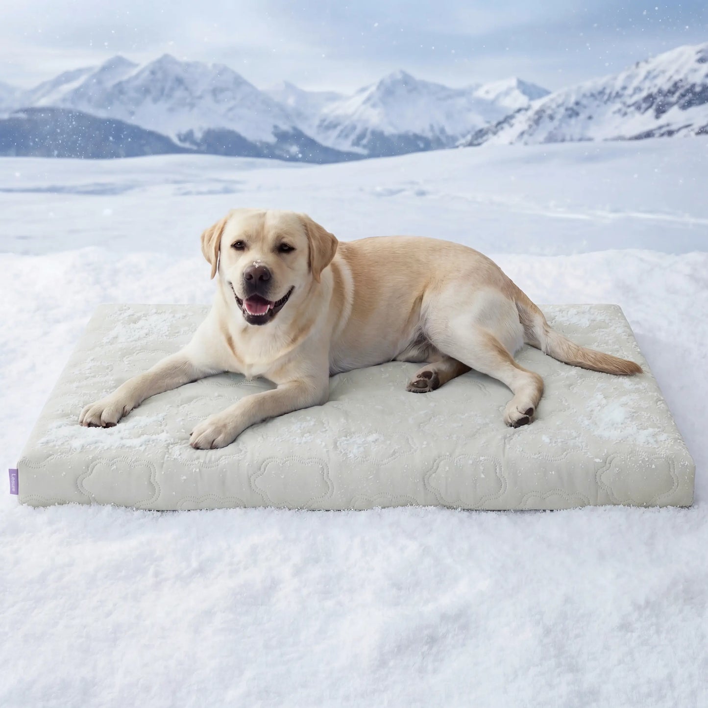 Bedsure Washable Cooling Mat for Dogs - Q-MAX>0.4 Non-Slip Summer Crate Bed for Large Dogs, Gel-Free and Electric-Free