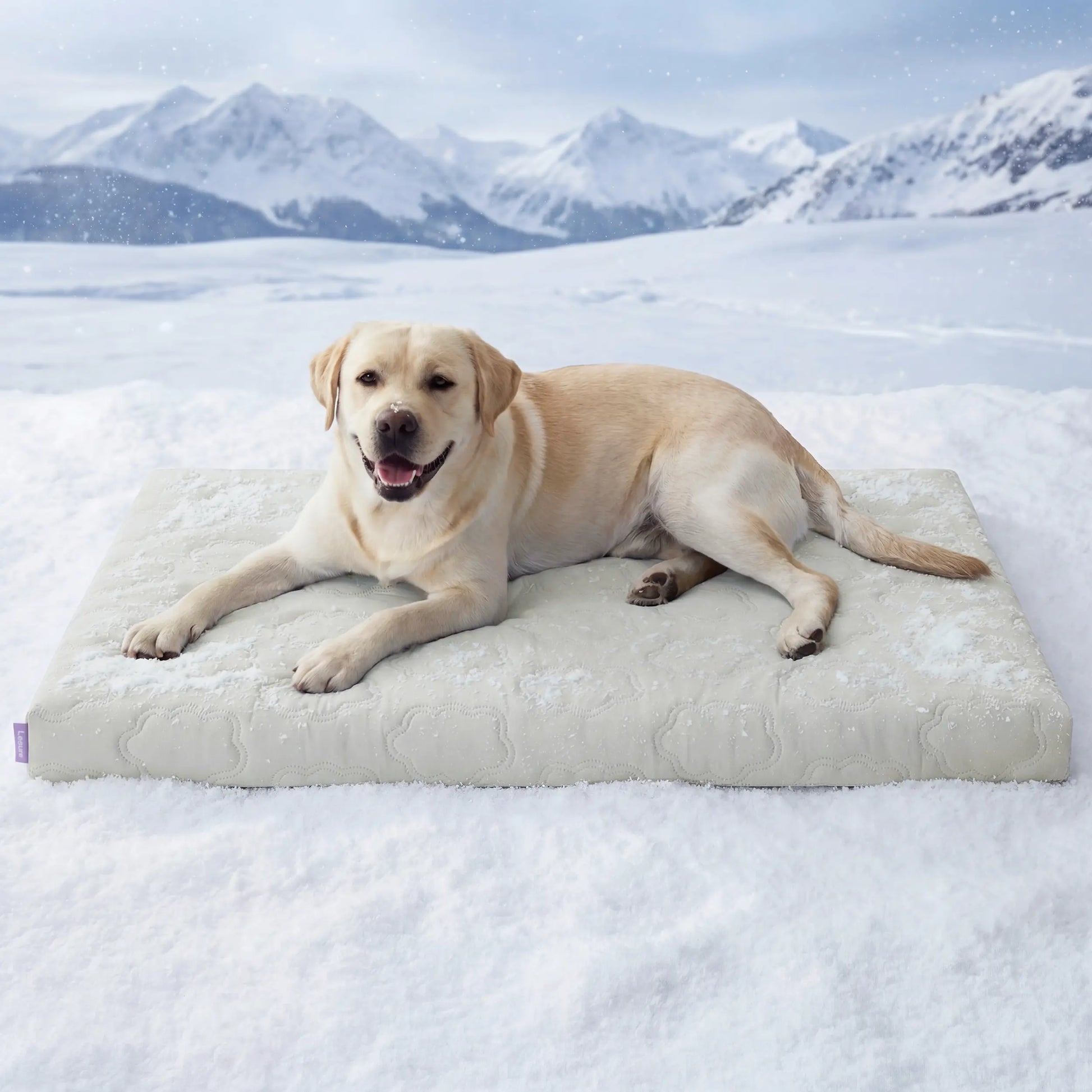 Bedsure Washable Cooling Mat for Dogs - Q-MAX>0.4 Non-Slip Summer Crate Bed for Large Dogs, Gel-Free and Electric-Free