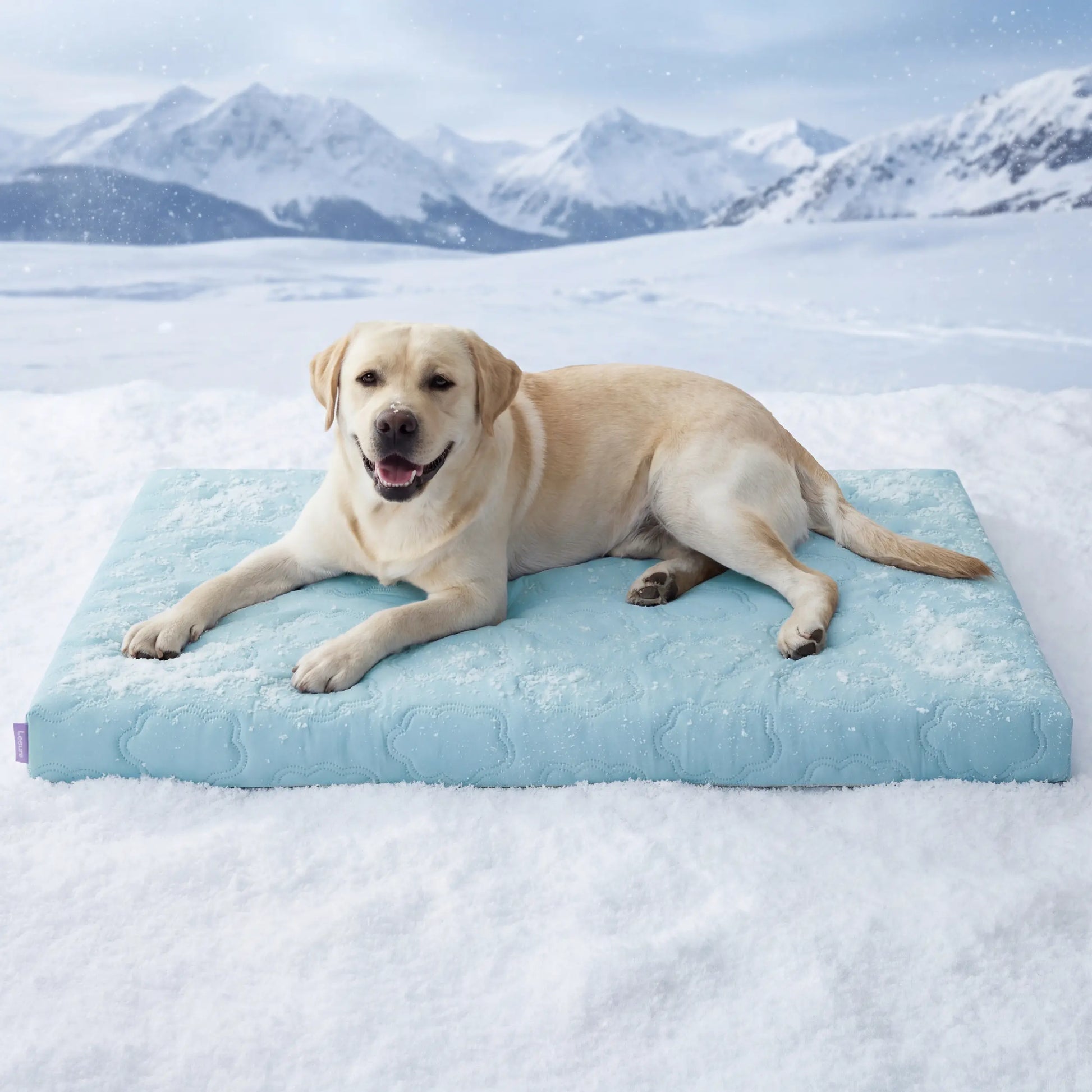 Bedsure Washable Cooling Mat for Dogs - Q-MAX>0.4 Non-Slip Summer Crate Bed for Large Dogs, Gel-Free and Electric-Free